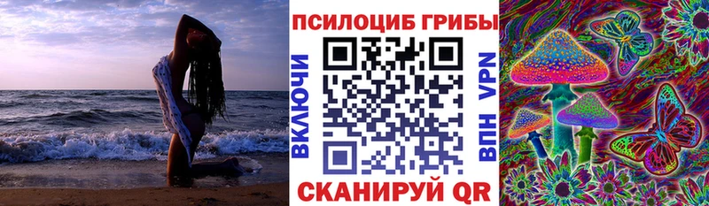 где можно купить   Конаково  Псилоцибиновые грибы прущие грибы 